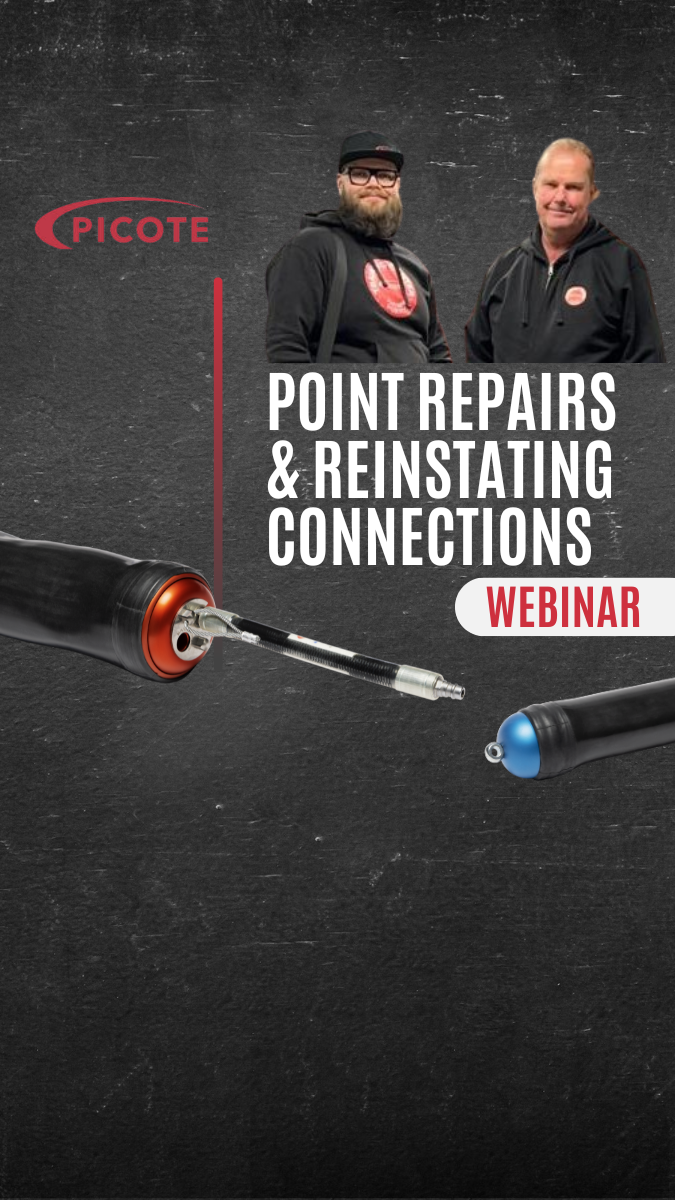 point repairs AND REINSTATEMENTS DEC 18 WEBINAR with faces-1